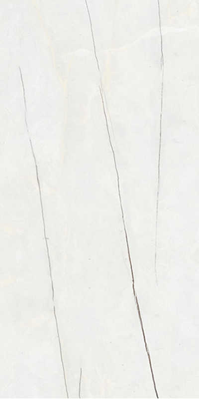 KAP-111212-31